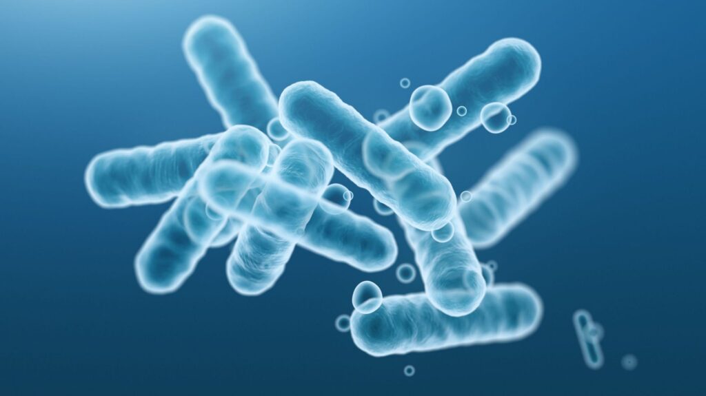 Une macromolécule bactéricide et vecteur de principes actifs en cours de développement à Strasbourg