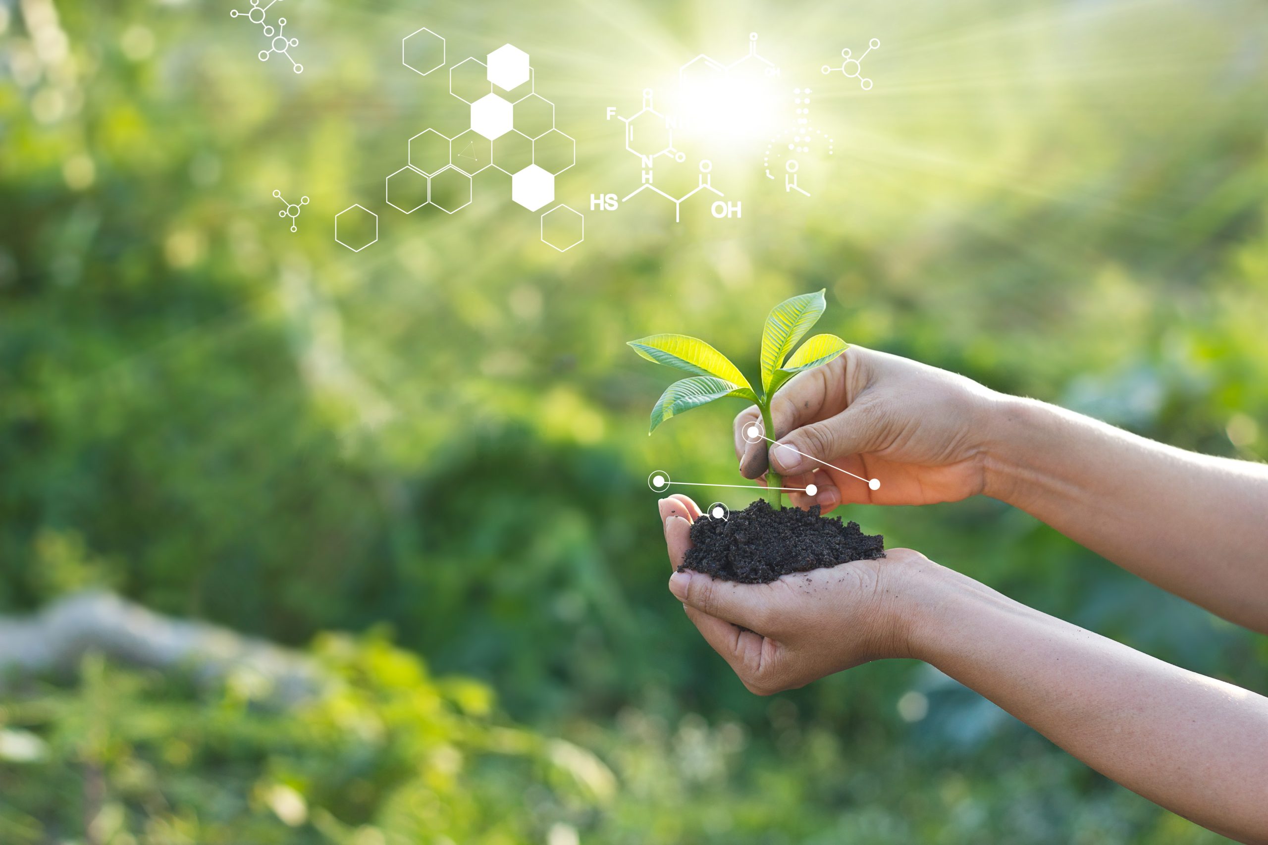 Chemistry in Strasbourg: Working for the Environment