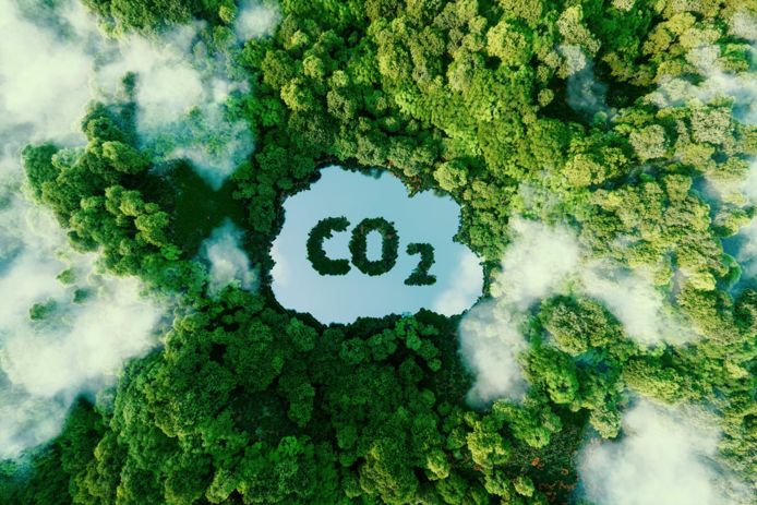 CO₂ Capture and Conversion