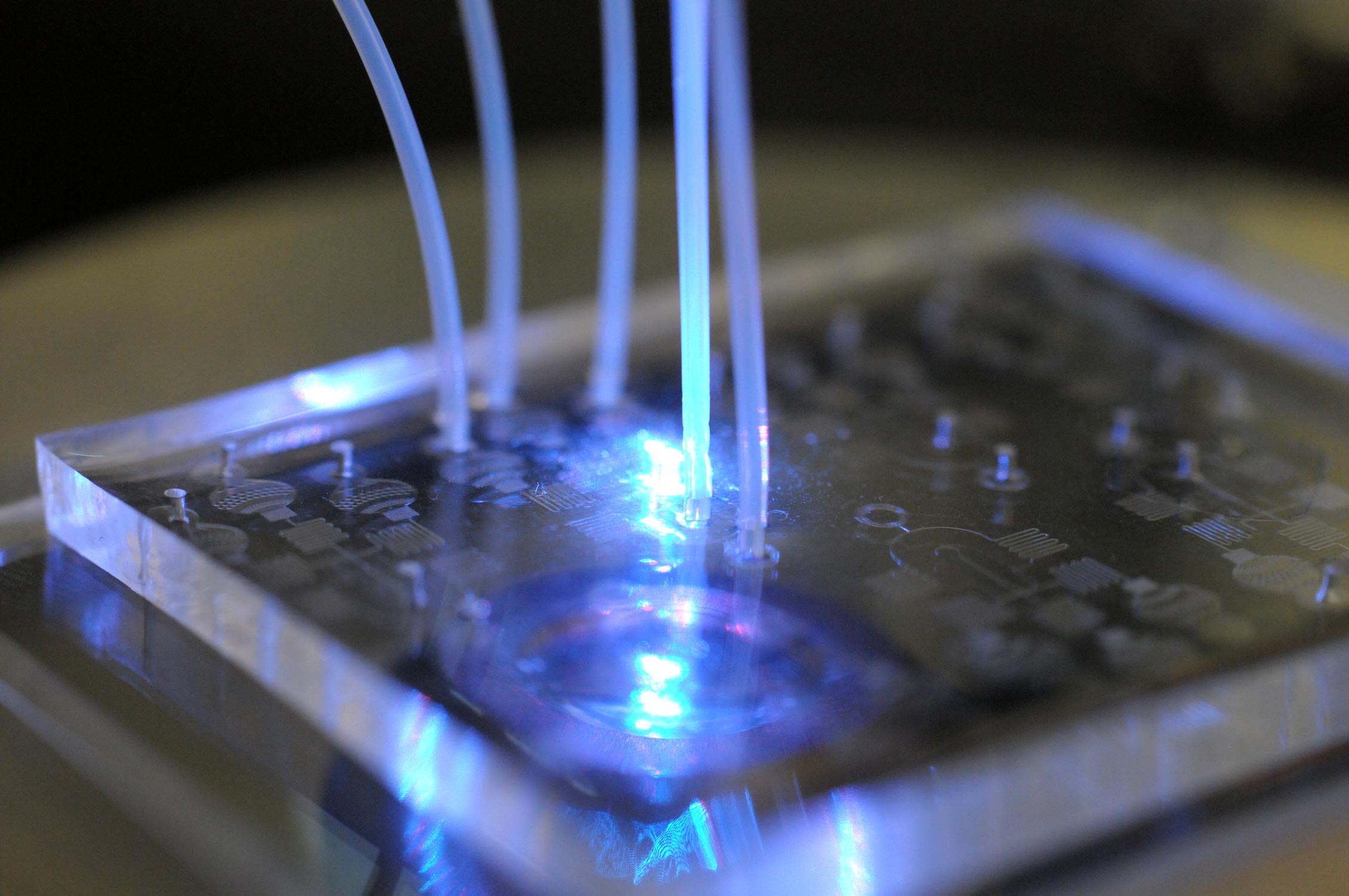 High-Throughput Cell Screening