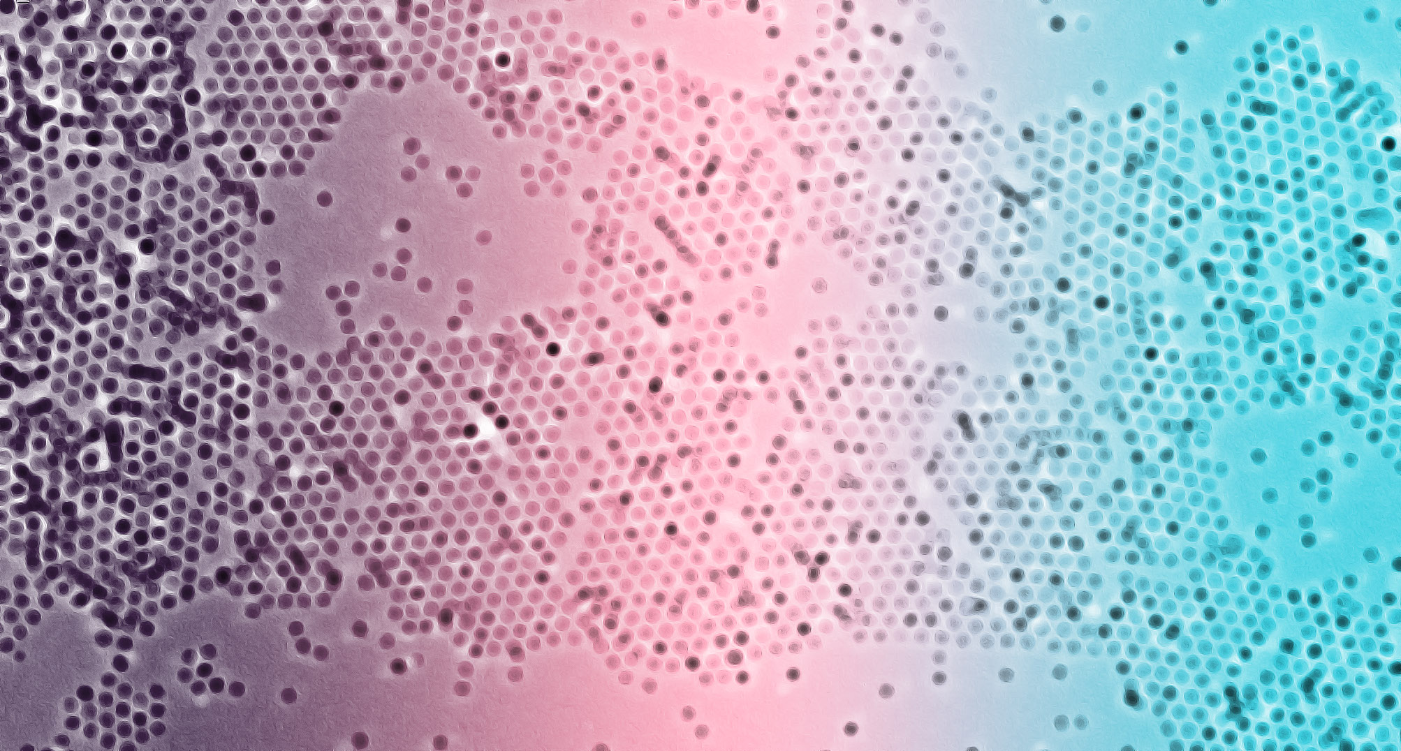 Nanomaterials for Cancer (Diagnosis/Treatment)
